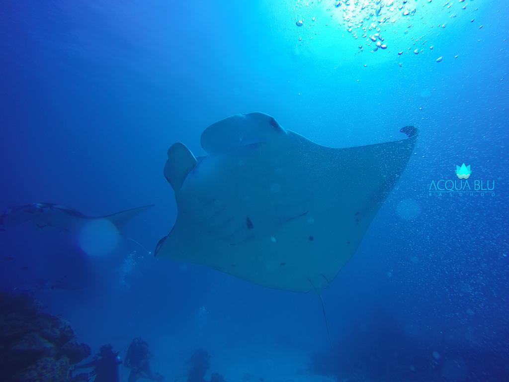Отель Acqua Blu Rasdhoo Экстерьер фото