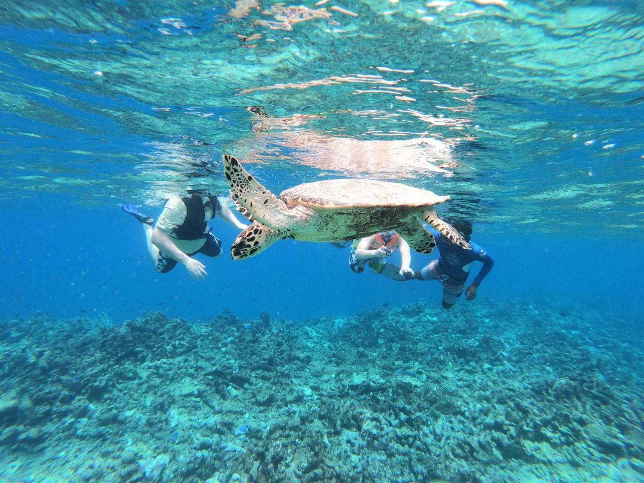 Отель Acqua Blu Rasdhoo Экстерьер фото