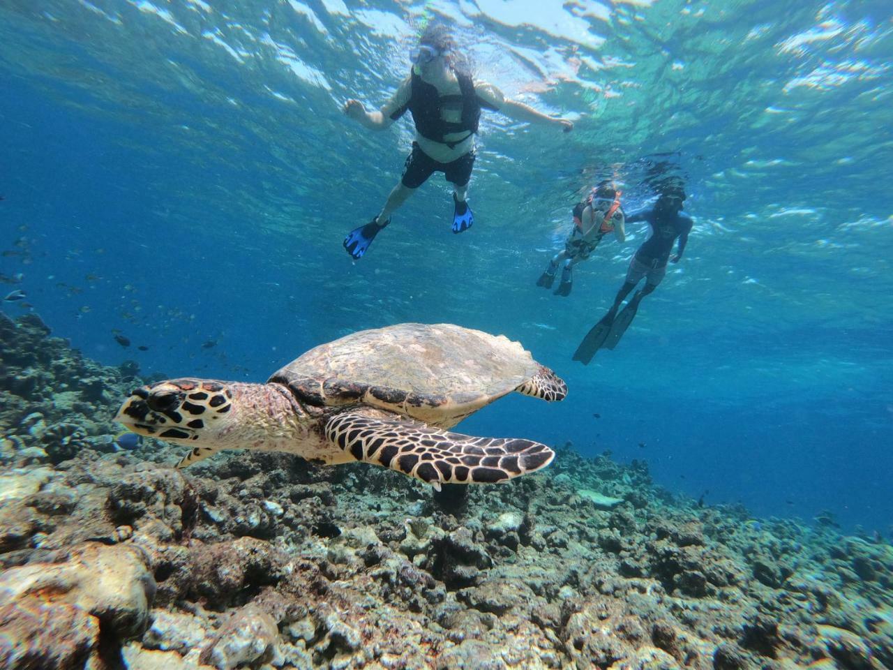 Отель Acqua Blu Rasdhoo Экстерьер фото